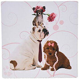 【中古】【輸入品・未使用】3dRose 8 x 8 x 0.25 Inches Mouse Pad%カンマ% Bulldog in Necktie%カンマ% Papillion Dog in Pink Hat and Terrier in Pearls (mp_127599_1) [並行輸