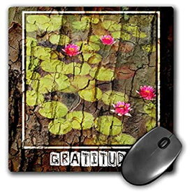【中古】【輸入品・未使用】3dRose LLC 8 x 8 x 0.25 Inches Mouse Pad%カンマ% Zen Gratitude Lotus Tree Bark Art Spirituality Motivational (mp_29479_1) [並行輸入品]