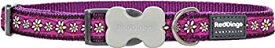 【中古】【輸入品・未使用】Red Dingo Daisy Chain Purple Dog Collar%カンマ% Medium/Large/20mm [並行輸入品]