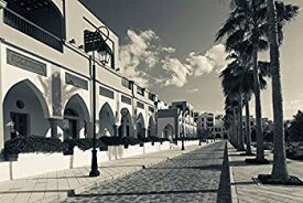 【中古】【輸入品・未使用】Posterazzi Palm trees outside buildings Tala Harbor Development Marina Aqaba Jordan Poster Print by Panoramic Images (24 x 18) 141［並