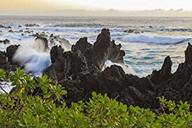 【中古】【輸入品・未使用】Posterazzi PDDUS12SWR0589LARGE Sunrise at Laupahoehoe Beach Park%カンマ% Hamakua Coast%カンマ% Big Island%カンマ% Hawaii Photo Print%カンマ% 24 x 3