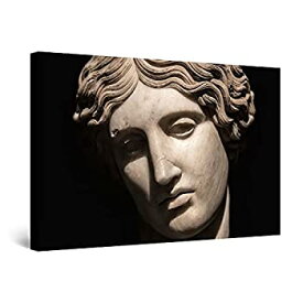 【中古】【輸入品・未使用】Startonight Canvas Wall Art Decor Venus of Milo Statue Print for Bedroom 60 x 90 cm