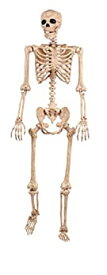 【中古】【輸入品・未使用】Lifesize Pose N Stay Skeleton LifeSizeのスケルトンポーズN滞在♪ハロウィン♪サイズ：