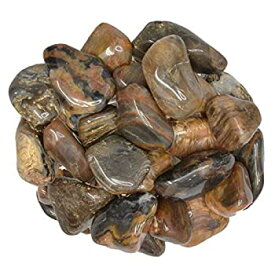 【中古】【輸入品・未使用】Hypnotic Gems 材質：希少なアフリカのタンブルストーンの詰め合わせ - 工芸品、レイキ、クリスタルヒーリングなどのためのバルク研磨宝石のロッ