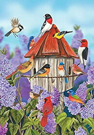 【中古】【輸入品・未使用】Briarwood Lane Birds and Lilacs Spring Garden Flag Birdhouse Floral Cardinal 12.5" x 18" [並行輸入品]