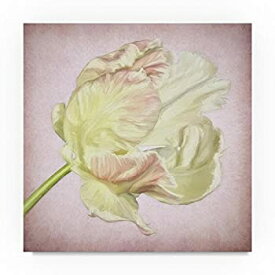 【中古】【輸入品・未使用】Trademark Fine Art Cora Niele Pink Parrot Tulip Painting Iii, 14x14-Inch 商品カテゴリー: ポスター 絵画 [並行輸入品]