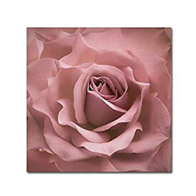 【中古】【輸入品・未使用】Misty Rose Pink Rose by Cora Niele, 24x24-Inch Canvas Wall Art 商品カテゴリー: ポスター 絵画 [並行輸入品]