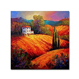 【中古】【輸入品・未使用】Tuscan Villa Evening by Marion Rose, 18x18-Inch Canvas Wall Art 商品カテゴリー: ポスター 絵画 [並行輸入品]