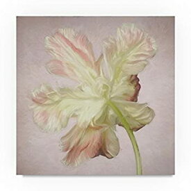 【中古】【輸入品・未使用】Trademark Fine Art Cora Niele Pink Parrot Tulip Painting Ii, 14x14-Inch 商品カテゴリー: ポスター 絵画 [並行輸入品]