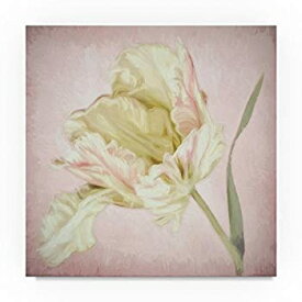 【中古】【輸入品・未使用】Trademark Fine Art Cora Niele Pink Parrot Tulip Painting I, 18x18-Inch 商品カテゴリー: ポスター 絵画 [並行輸入品]