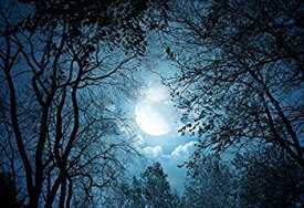 【中古】【輸入品・未使用】Yeele 7?x 5ft Forest Night View Backdrop Night Sky Moon Moonlightツリー写真背景画像Baby Girl Boy Adult Portrait写真ブースビニール壁紙P