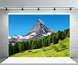 【中古】【輸入品・未使用】laeacco 8?x 6.5ftビニール背景写真背景Beautiful Mountain LandscapeビューMatterhornピークPennine Alps Switzerland Nature Snow Mountain G