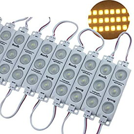 【中古】【輸入品・未使用】Rextin 200個 スーパーブライト 3LED 2835 LEDモジュール ウォームホワイト IP68 防水 装飾ライト レターサイン 広告サイン 背面にテープ+ワイヤ