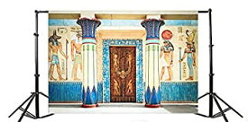 【中古】【輸入品・未使用】Yeele 10x6.5フィート 古代エジプト フレスコ 写真背景 ビニール 神社 壁画 宗教 トーテム ストーン 壁画 写真 背景 歴史 文化 遺物 写真 ビデオ