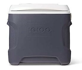 【中古】【輸入品・未使用】Igloo 40369 28 Qt. Iceless 28 Thermoelectric Cooler, Silver