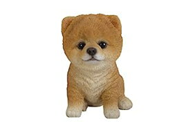 【中古】【輸入品・未使用】hi-lineギフトLtd。Sitting Pomeranian Puppy Garden Statue 6" 87771-K