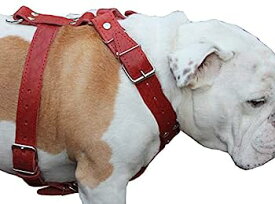 【中古】【輸入品・未使用】レッド本革犬用ハーネス Lサイズ 30インチ~35インチ 胸囲サイズ、1.5インチ幅のストラップピットブル、杖コルソ