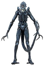 【中古】NECA Series 2 Alien Warrior 7' Action Figure Blue [並行輸入品]