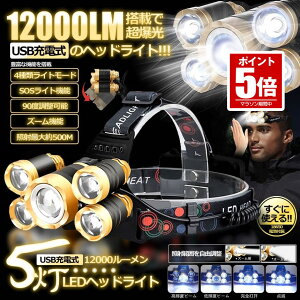 �y2��Z�b�g�z USB�[�d�� 12000LED�w�b�h���C�g 4�̃��[�h �Ɩ� �Y�[���@�\ 90�x���� 500M IPX4�h�� 2-12LMHDL