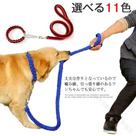 ハーフチョーク 首輪 リードセット お出かけ 散歩 ペット M XL パラコード 防止 中型犬 首輪付きリードセット 小型犬 リード トレーニング S 全11色×4サイズ 訓練 ワンタッチ L しつけ 2点セ