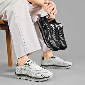 StV[Y Y fB[X S V[Y JWAV[Y XpCNC St EH[LOV[Y y ₷ Stp ~ߐAʋCAϖՐ ی삷 