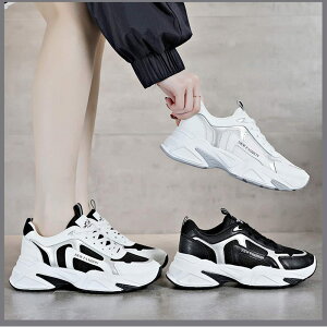 Xj[J[ fB[X EH[LOV[Y jOV[Y U[ jOV[Y C  bV ^C  ~  AEghA JWAV[Y ʋ ʊw 22.5c