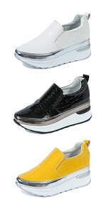 Xj[J[ Xb| fB[X Cq[  bLOV[Y X|[cV[Y RȂ  n 傫TCY [Jbg  ~ K hL ϖ yʊw wlC 