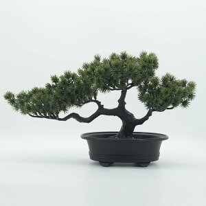 lHA ϗtA lHϗtA lH ~ A  vX`bN  32cm*20cm sv ͂Ȃ 蕨   i Iׂ2F O[ _[NO[
