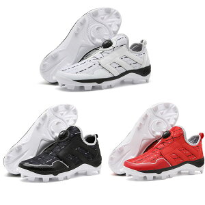 싅XpCN Y 싅V[Y WjA 싅 g[jOV[Y XpCN 싅p |CgXpCN Z/w싅Ή 싅pi X[X|[c X^bh N[c y ʋC 24