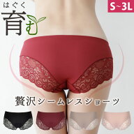 シームレスショーツ 1枚 単品 ふわっと レースがかわいい 楽ちん アウターにひびきにくい！ M L LL 3L き…