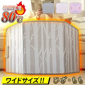 【10%OFFクーポン】省エネ 防寒グッズ 遠赤外線 足元ヒーター パネルヒーター 即暖 最高温度80℃ 3つ折り 3段階温度調節 即暖 高温 安全装置 タイマー機能 冷え性 折り畳み 寒さ対策 暖房器具 エネタンポ オフィス キッチン ペット用 受験生 プレゼント 足温器