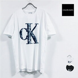 Calvin Klein カルバンクライン SS GRAPHIC TEE 半袖 Tシャツ 40IC805 メンズ 【 送料無料 】 クルーネック CK ロゴ プリント トップス アメカジ ストリート系 カジュアル ファッション アパレル 白 ホワイト 黒 ブラック M L USサイズ