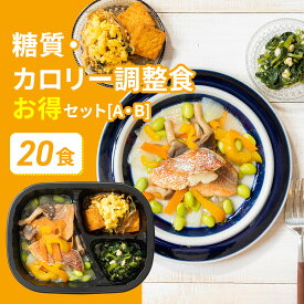選べる 糖質・カロリー調整食20食セット 20食分 20食 お得 組み合わせ 冷凍弁当 宅配弁当 宅配 弁当 食品 お弁当 減塩 レンジ調理 時短 低カロリー 栄養食 時短調理 国内製造 簡単調理 冷凍弁当 自宅療養 健康直球便 弁当 惣菜 糖質 健康 詰め合わせ 介護食