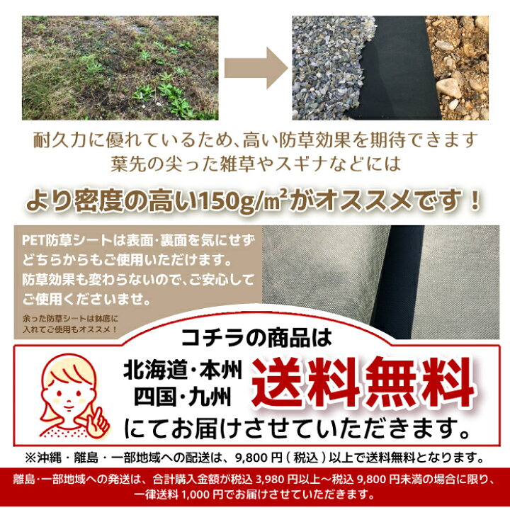 楽天市場】【 PET 防草シート W 1m ×L 50 m 100g / m2 】不織布 