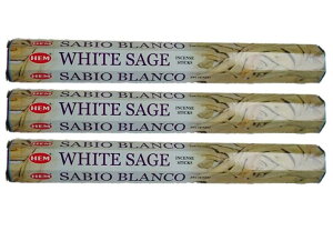 5̂̓|Cg10{IIChHEMЂ̂zCgZ[WAWAG݃CZX 20{×3ZbgXeBbNAWAG yޖF XeBbN  򉻃|Xg