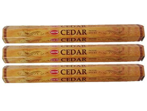 5̂̓|Cg10{IIChHEMЂ̂V_[AWAG݃CZX 20{×3ZbgXeBbNAWAG yޖF XeBbN  򉻃|Xgő