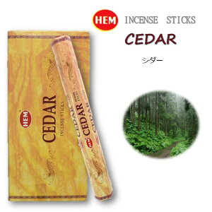 5̂̓|Cg10{IIChHEMЂ̂V_[1P[XZbgi6×20{jXeBbNCZX XeBbN AWAG yޖF XeBbN  