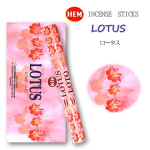 5̂̓|Cg10{IIChHEMЂ̂[^X1P[XZbgi6×20{jXeBbN@@̉ԃ[^X CZX XeBbN AWAG yޖF 