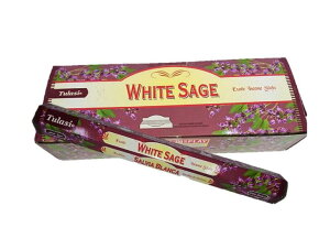 5̂̓|Cg10{IIChTulasîzCgZ[W1P[XZbgi6×20{jXeBbNCZX XeBbN AWAG yޖF XeBbN 