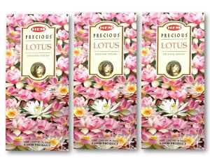 5̂̓|Cg10{IIChHEMЂ̂vVX[^XAWAG݃CZX 20{×18ZbgXeBbNAWAG yޖF XeBbN  