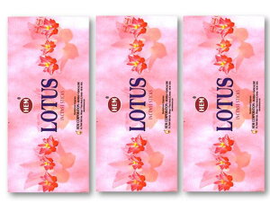 5̂̓|Cg10{IIChHEMЂ̂@[^X@AWAG݃CZX 20{×18ZbgXeBbNAWAG yޖF XeBbN  򉻃|Xg