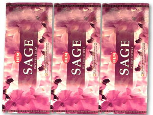 5̂̓|Cg10{IIChHEMЂ̂Z[WAWAG݃CZX 20{×18ZbgXeBbNAWAG yޖF XeBbN  򉻃|Xg