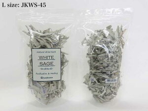 5̂̓|Cg10{II򉻃ObYzCgZ[WLTCY 45gp[Xg[ 򉻖F  rO  򉻍yށ