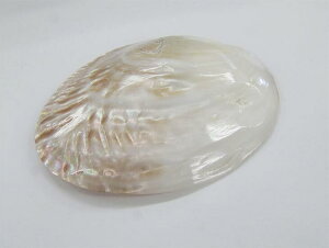 5̂̓|Cg10{II򉻃ObYCP`EL 1łzCgZ[W`bvXp[Xg[ 򉻖F  rO  򉻃|XgőI