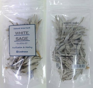 5̂̓|Cg10{II򉻃ObYzCgZ[WSTCY 15gp[Xg[ 򉻖F  rO  򉻍yށ