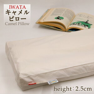 C^ L  43×63cm  2.5cm { VRf 􂦂 L܂ Ls[ L IWATA c Y ܂  s[