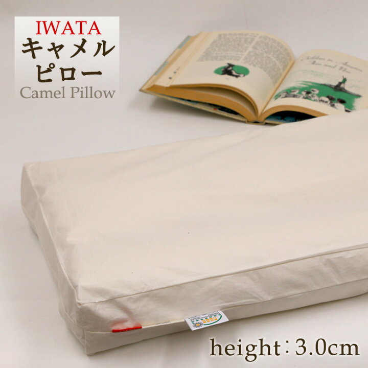 楽天市場】イワタ キャメル 枕 43×63cm ふつう 3cm 日本製 天然  