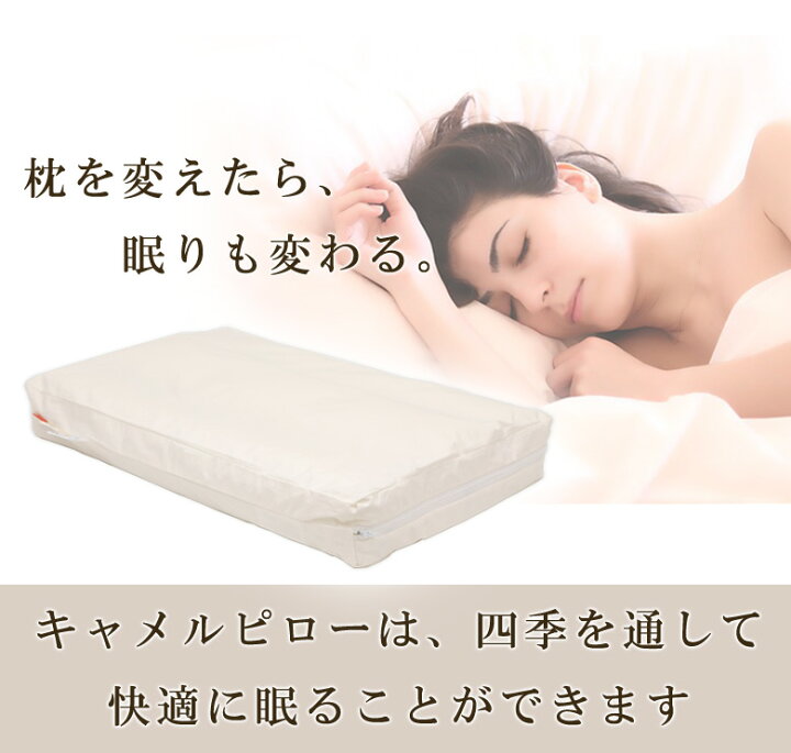 楽天市場】イワタ キャメル 枕 43×63cm ふつう 3cm 日本製 天然  