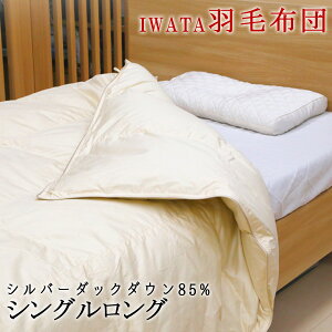 C^ Hѕzc Vo[_bN_E VOO { iwata c |zc Hъ|zc Hѕzc DE-QM87-222