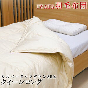 C^ Hѕzc Vo[_bN_E NC[O 210×210cm { iwata c |zc Hъ|zc Hѕzc DE-QM87-222